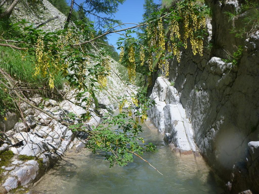 Gite Belle Valette Prads-Haute-Bléone المظهر الخارجي الصورة